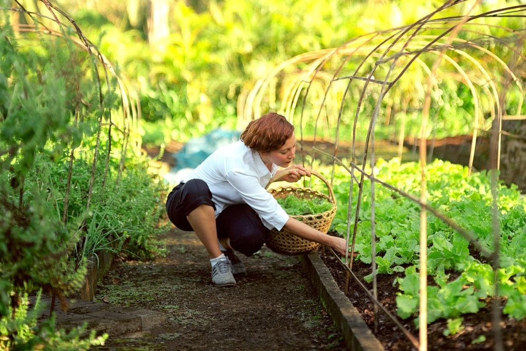 The Farm at San Benito